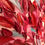 Miniature : Romance... | 60x175cm