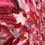 Miniature : Romance... | 60x175cm