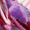 Miniature : Spirituelle… | 30x40cm
