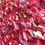 Miniature : Romance... | 60x175cm