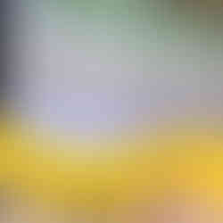 Livre Para Workshop WWF Portugal Educação Não-Formal