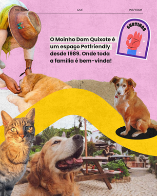Livre Para X Moinho Dom Quixote