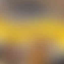 Livre Para Workshop WWF Portugal Educação Não-Formal