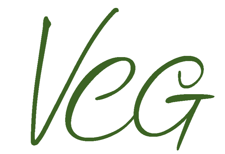 Veritas Consulting Group delivers expert accounting and financial services with transparency, thoughtful execution