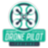Drone Inspection