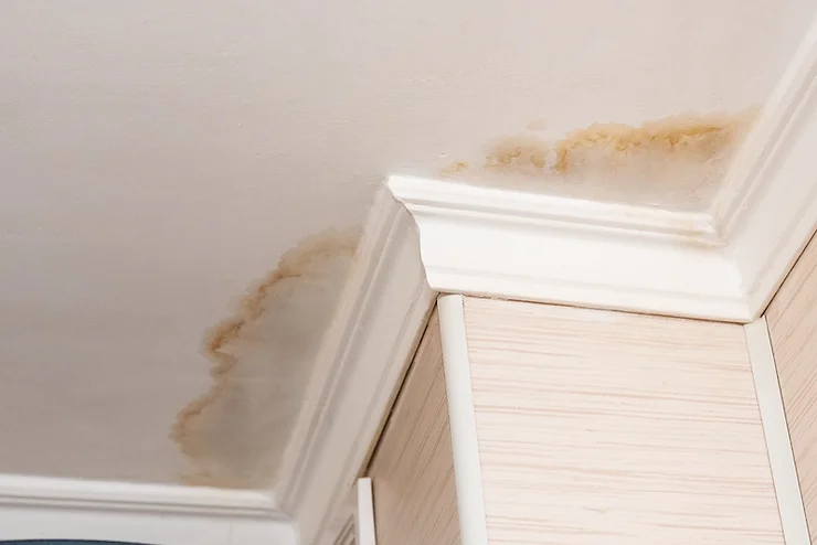 Ceiling during inspection