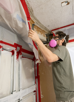 Mold Home Inspection