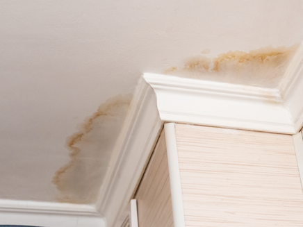 The Home Inspector’s Responsibility