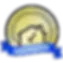 internachi blue