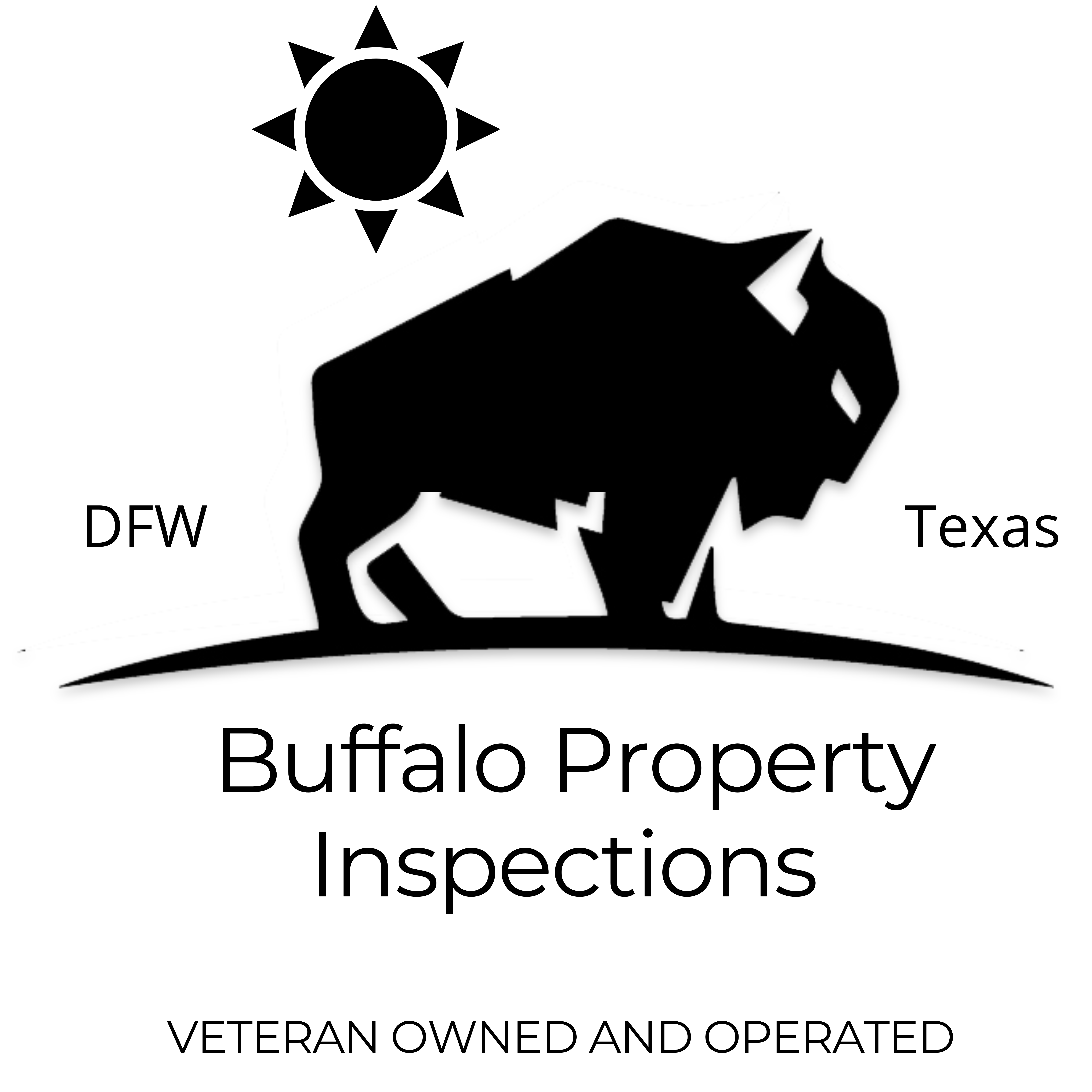 BPI Logo transparent FINAL