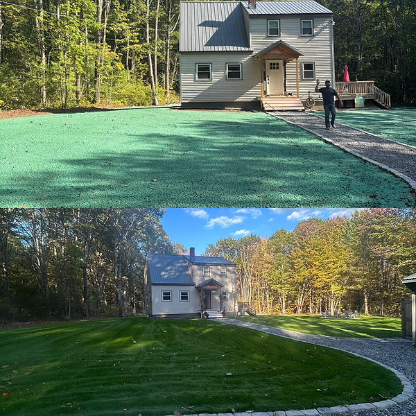 Fowlers Fine Grass web image.jpg