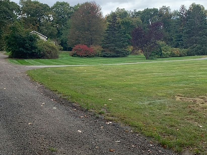 Us vs Competition.JPG