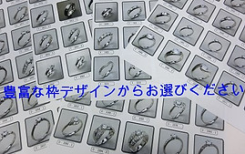 枠見本