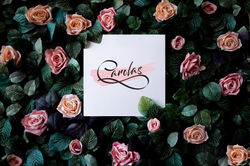 Carolas - Moda Feminina