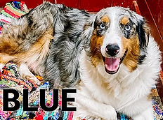 Screen Shot 2021-02-23 at 7.54.32 PM.png