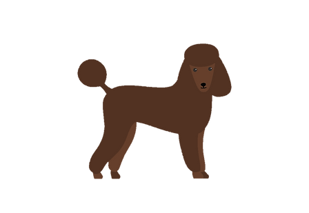 Brown Poodle.png