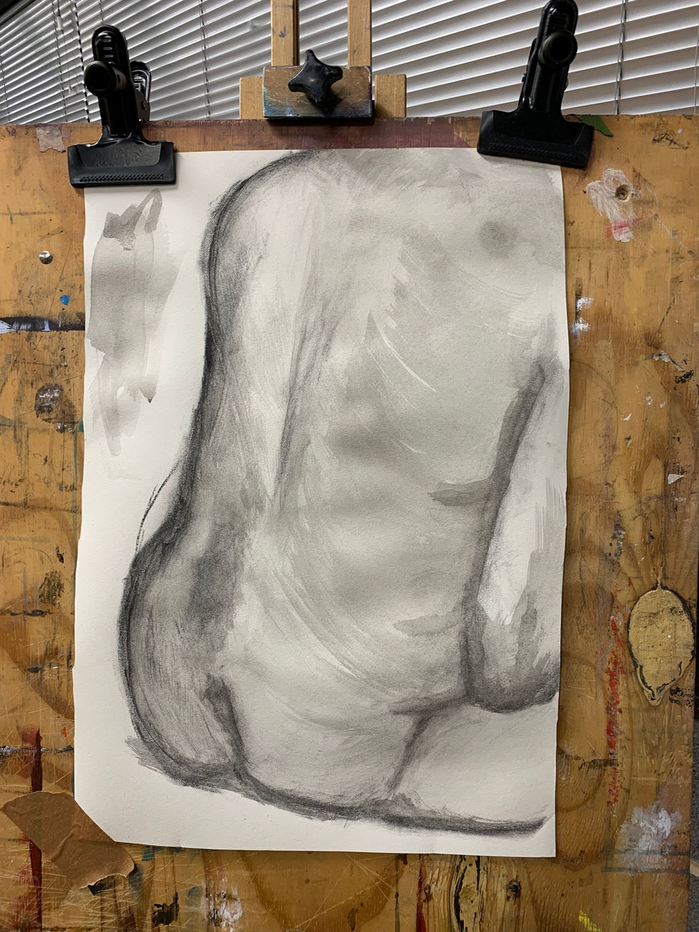 A Womans Back - in Ink and Charcoal