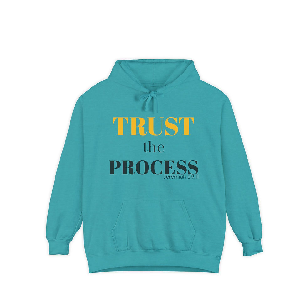 Trust the Process Hooded Sweatshirt, Unisex garment
