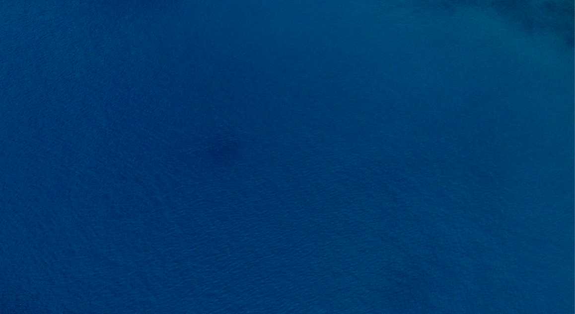 DJI_0029_edited.png