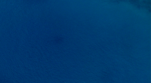 DJI_0029_edited.png