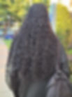 20250825_073942.jpg