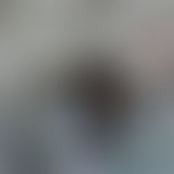 《媒體入侵》感受地心引力