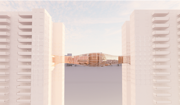 Asset 1 (2).png