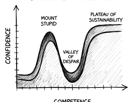 A graph of the Dunning-Kruger effect, plotting confidence against competence.