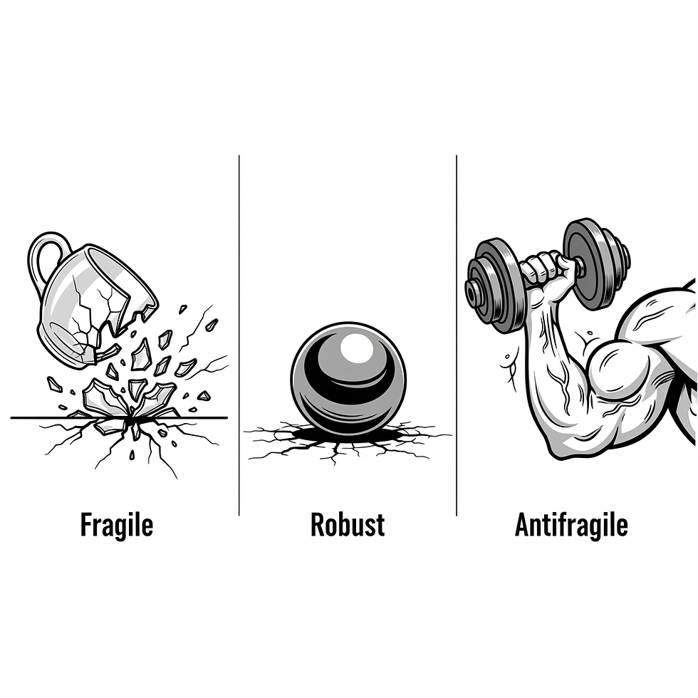 A three-panel sketch contrasting "Fragile" (a breaking cup), "Robust" (an intact steel ball), and "Antifragile" (a muscle growing stronger from lifting weights).