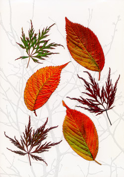 8919_Ode To Autumn_David Malkin