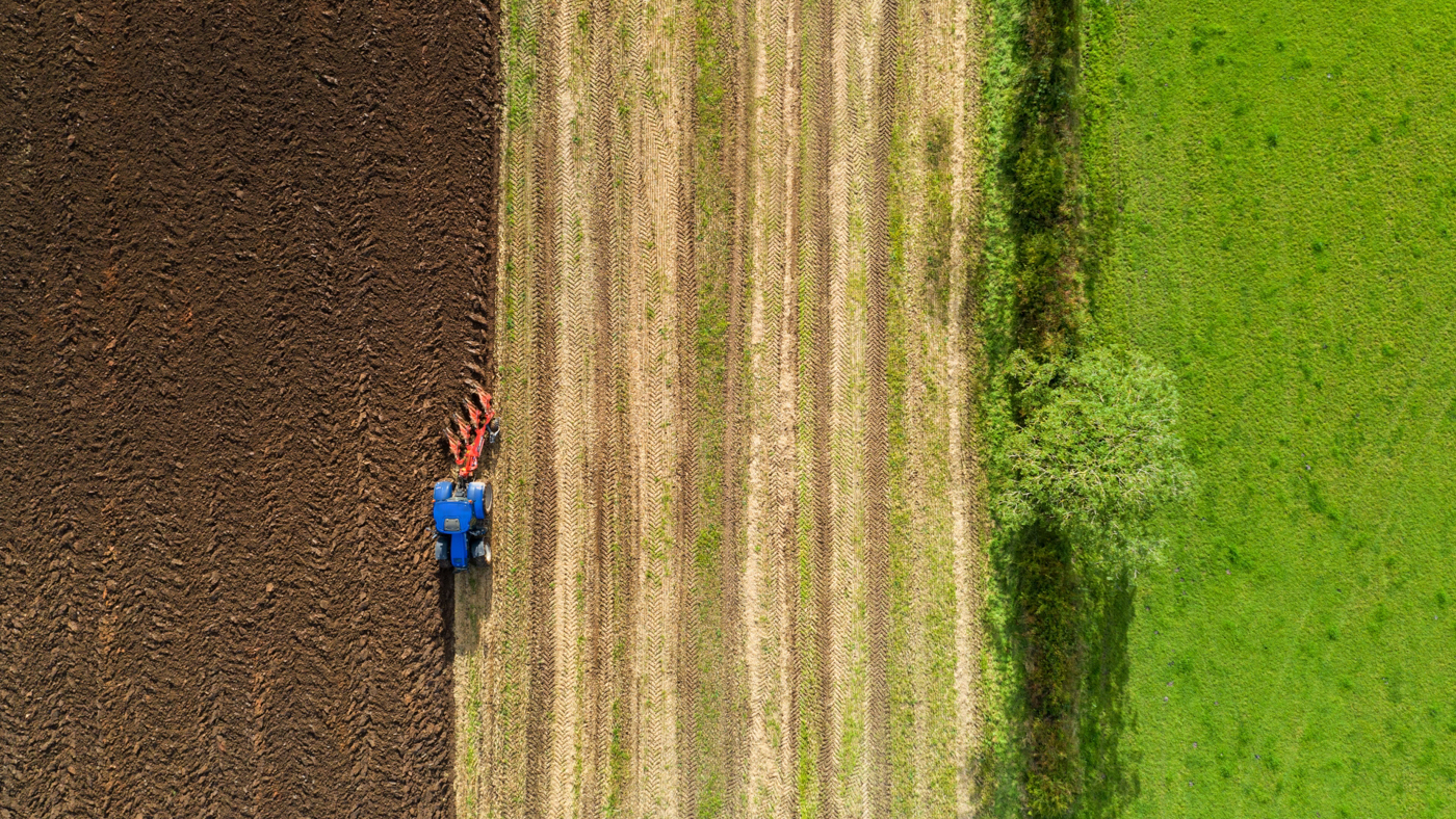 C10 The Worm Forgives The Plough