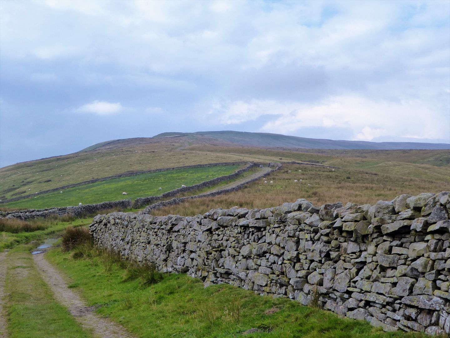 Great Shunner Fell_Gilly Linton
