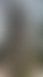 Không còn là điều huyền bí hay viển vông, y học năng lượng đang ngày càng được thừa nhận như một hướng đi mới trong chữa lành toàn diện, nơi mà cơ thể – tâm trí – linh hồn cùng được chữa trị song song.