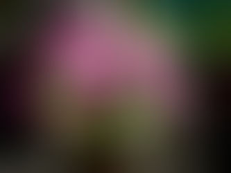 NHỮNG THẾ GIỚI CHƯA BIẾT- UNKNOWN WORLDS