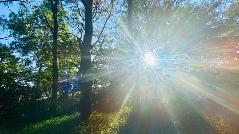 Trên đỉnh Hòn Chén, gió bắt đầu mạnh hơn, như đang cuốn đi những lớp nặng nề bám lâu trong không gian. Nắng đã lên cao, ánh sáng chuyển sang một màu vàng nhạt, phủ lên mái điện, lên những tán cây cổ thụ, lên từng làn khói hương đang bay chậm trong không khí. Dưới kia, Sông Hương vẫn trôi. Một thứ gì đó đang được mở ra. Một tầng không gian đang dần sáng lên.