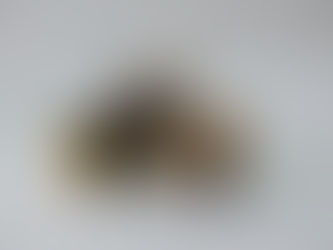 Robótica Educacional