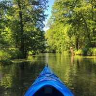 Blick aus einem Kajak auf einen ruhigen Fluss, umgeben von Bäumen.