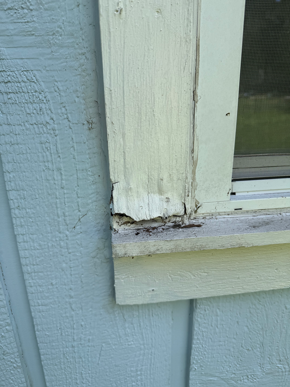 Exterior painting prep work completed by 74 Painting in North Houston
