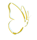 butterfly logo 2024 SMALL.png