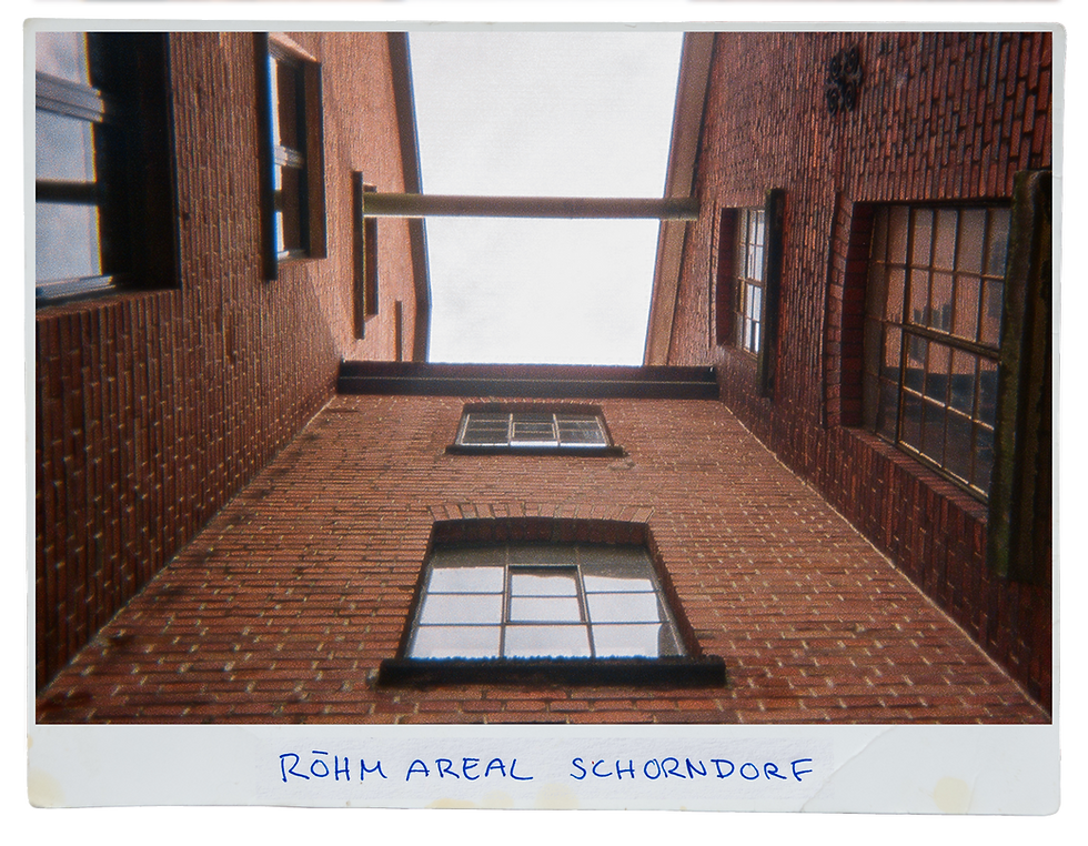 Polaroid7.png