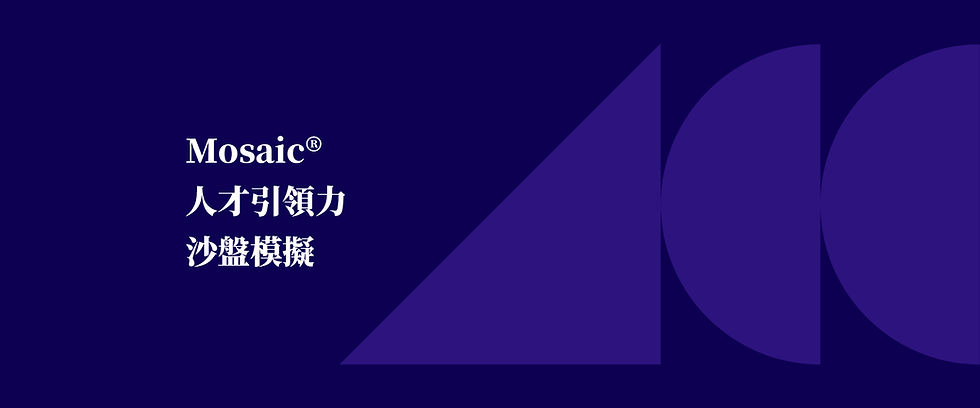 Paradigm-Mosiac-business-Discovery Learning-management-leadership-harment-Culture Partners