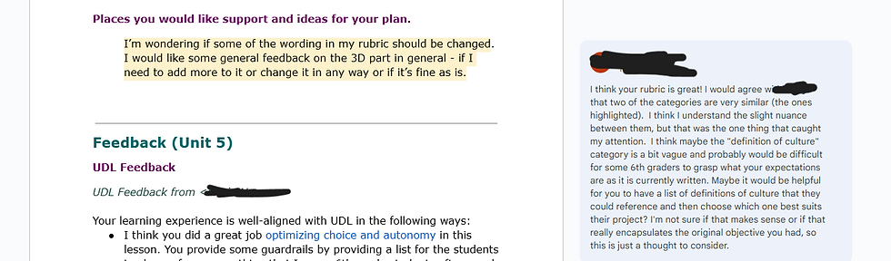 "Screenshot of Lesson Plan Feedback" by Emily Vailliencourt