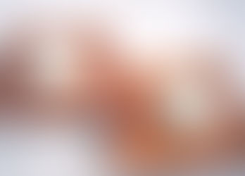 11月の季節の和菓子 募集 一回完結