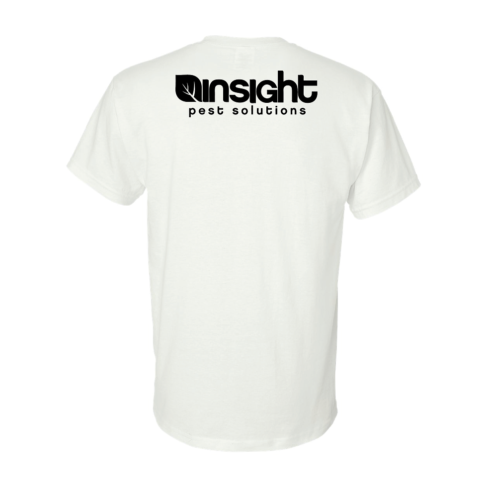 Thumbnail: INSIGHT - CSR Tee