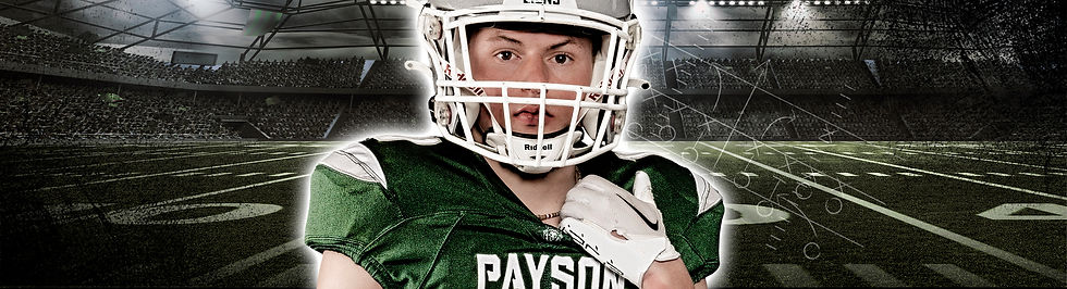 Porter Banners2New Strip copy.jpg