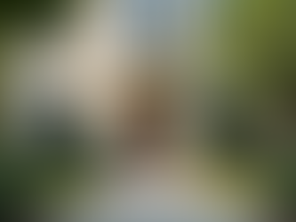 The Role of Building Maintenance Services in Professional Property Upkeep