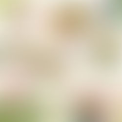 Cycling Through the Tauber Valley