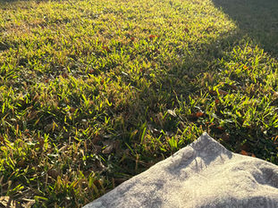 A Fearful/Fear Full Love