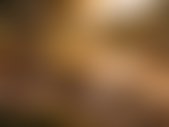 How Often Should You Water and Olive Tree