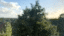 MOV_0147.gif
